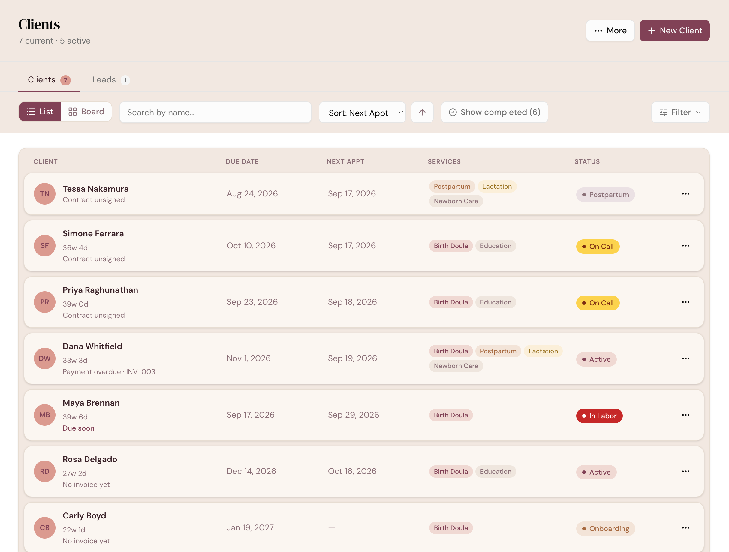 A doula's client list in DoulaFlow showing only her own clients, with due dates, next visits, services and stage
